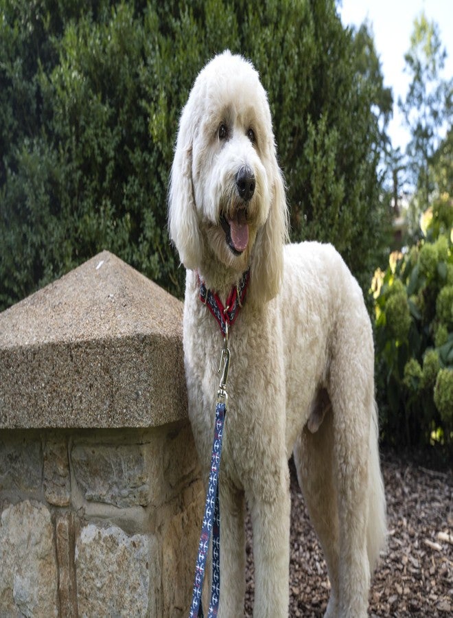 كانتري بروك ديزاين مجموعة Country Brook Petz - Anchors Away لسلسلة الكلاب - مجموعة Summer Breeze التي تتميز بتصاميم مشمسة (طول 6 أقدام، عرض 1/2 بوصة) - Image 2